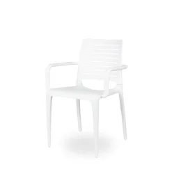 Krzesło z podłokietnikami Ezpeleta PARK