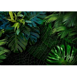 Fototapeta - Mroczna dżungla