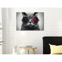 Obraz do samodzielnego malowania - Kot w okularach