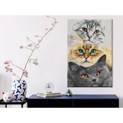 Obraz do samodzielnego malowania - Kocie trio