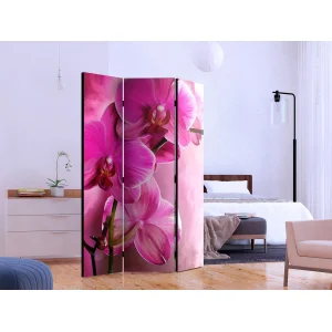 Parawan - Różowa orchidea