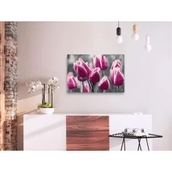 Obraz do samodzielnego malowania - Pole tulipanów