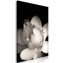 Obraz - Delikatność płatków w naturze (1-częściowy) - kwiat w czerni i bieli