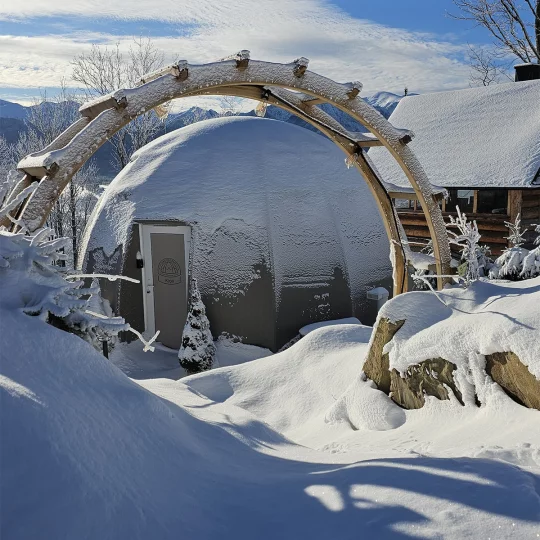 Pergola ogrodowa PORTAL - Zdjęcie 3