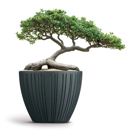 Donica TFRO48 Fero Round - Zdjęcie 3