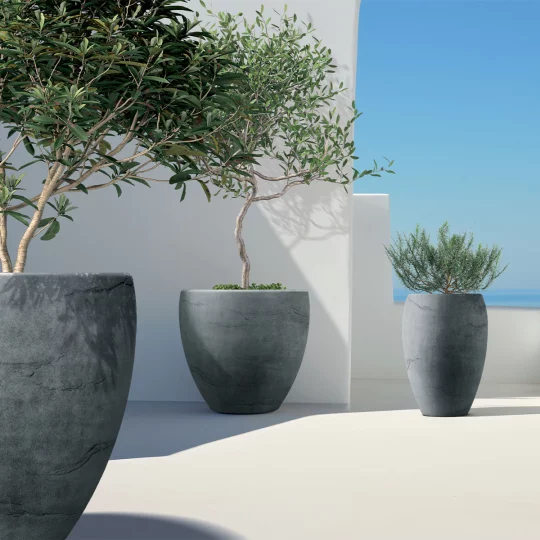 Donica TCA100 Cano High - Zdjęcie 3