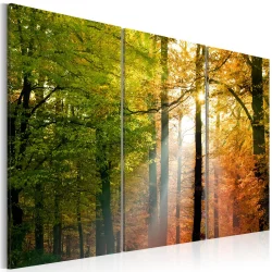Obraz - Spokojny jesienny las