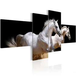 Obraz - Świat zwierząt - białe konie w galopie