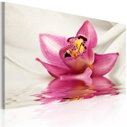 Obraz - Unusual orchid