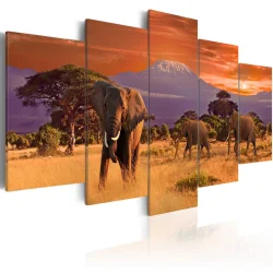 Obraz - Afryka: słonie
