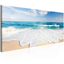 Obraz - Plaża na wyspie Captiva
