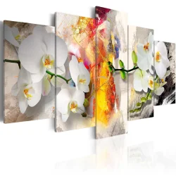 Obraz - Orchidea i kolory