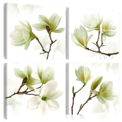 Obraz - Podziw magnolii