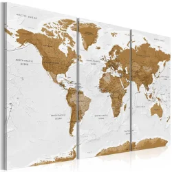 Obraz - Mapa świata: Biała poezja