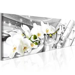 Obraz - Zakręcone orchidee
