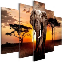 Obraz - Wędrówka słonia (5-częściowy) szeroki