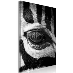 Obraz - Oko zebry (1-częściowy) pionowy