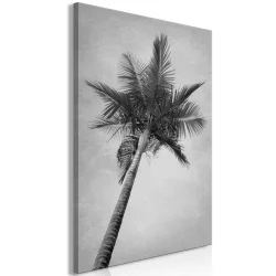 Obraz - Wysoka palma (1-częściowy) pionowy