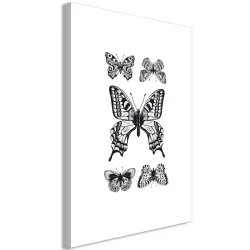 Obraz - Pięć motyli (1-częściowy) pionowy
