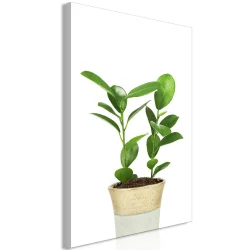 Obraz - Roślina w doniczce (1-częściowy) pionowy