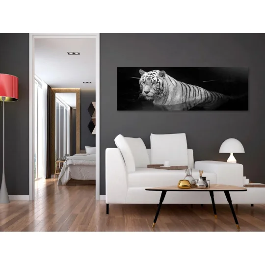 Obraz - Lśniący tygrys (1-częściowy) czarno-biały wąski - Zdjęcie 2