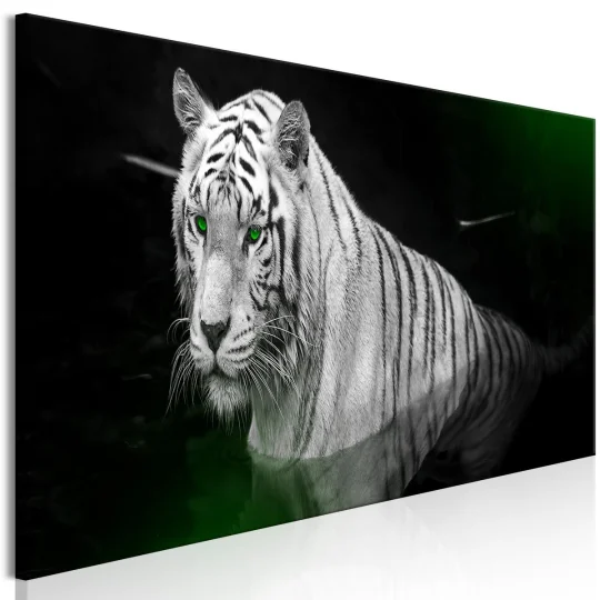Obraz - Lśniący tygrys (1-częściowy) zielony wąski