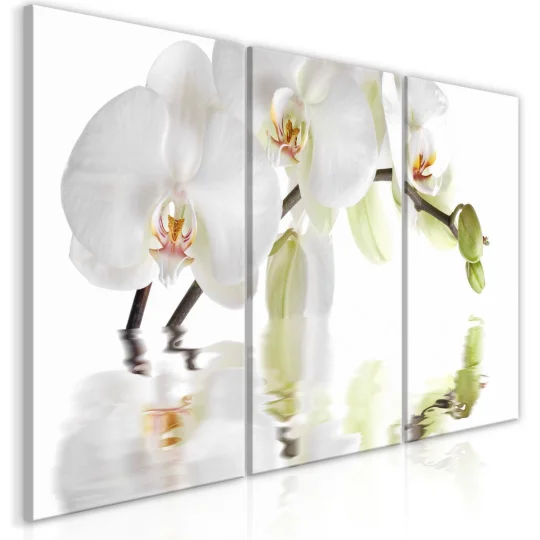 Obraz - Wspaniała orchidea (3-częściowy)