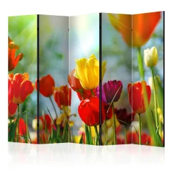 Parawan 5-częściowy - Wiosenne tulipany II [Room Dividers]