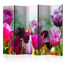 Parawan 5-częściowy - Piękne tulipany II [Room Dividers]