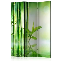 Parawan 3-częściowy - Zielony bambus [Room Dividers]