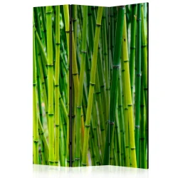 Parawan 3-częściowy - Bambusowy las [Room Dividers]