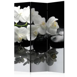 Parawan 3-częściowy - SPA, kamienie i orchidea [Room Dividers]