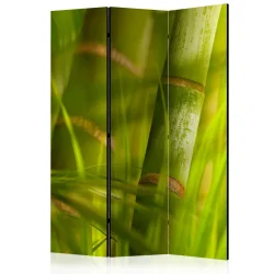 Parawan 3-częściowy - bambus - natura zen [Room Dividers]