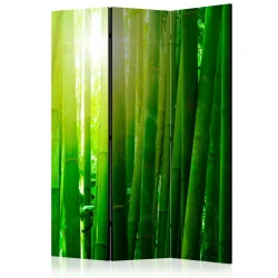Parawan 3-częściowy - Słońce i bambus [Room Dividers]