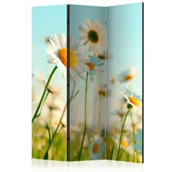 Parawan 3-częściowy - Stokrotki - wiosenna łąka [Room Dividers]