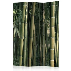 Parawan 3-częściowy - Bambusowa egzotyka [Room Dividers]