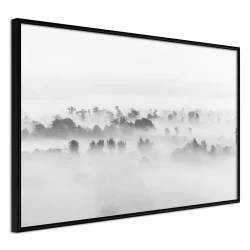 Plakat w ramie - Mgła nad lasem