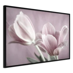 Plakat w ramie - Pastelowe tulipany I