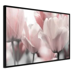 Plakat w ramie - Pastelowe tulipany II