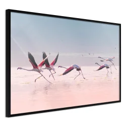 Plakat w ramie - Flamingi zrywają się do lotu