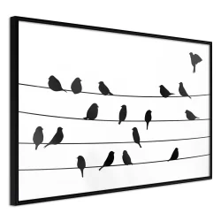 Plakat w ramie - Posiedzenie ptasiej rady