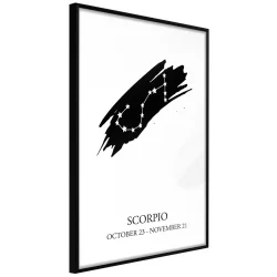 Plakat w ramie - Zodiak: Skorpion I