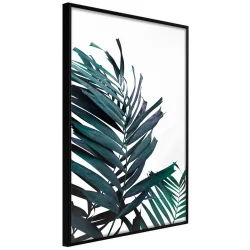 Plakat w ramie - Wiecznie zielone liście palmy