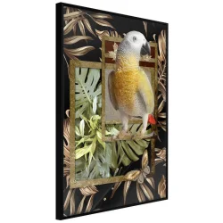 Plakat w ramie - Kompozycja ze złotą papugą