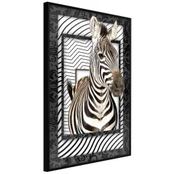 Plakat w ramie - Zebra w ramie