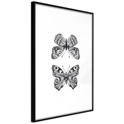 Plakat w ramie - Kolekcja motyli I