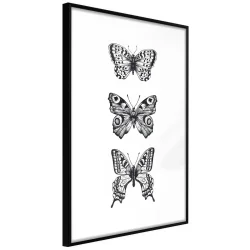 Plakat w ramie - Kolekcja motyli II
