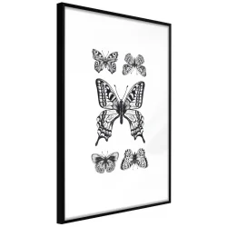 Plakat w ramie - Kolekcja motyli IV