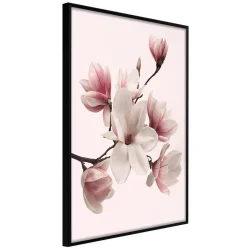 Plakat w ramie - Kwitnące magnolie I