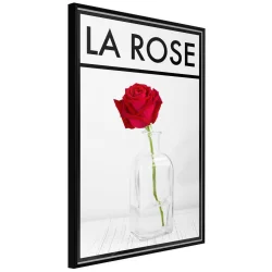 Plakat w ramie - Róża w wazonie